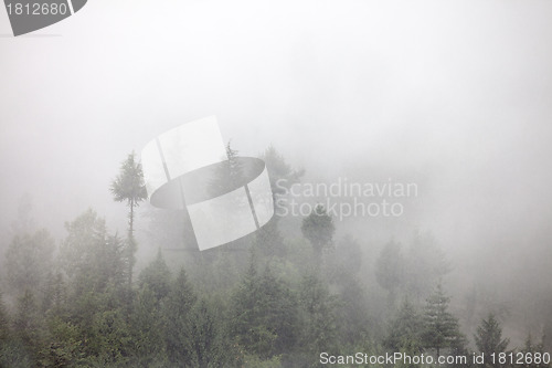 Image of fog