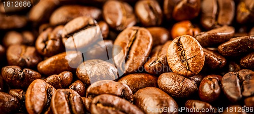 Image of coffee beans