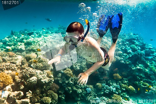 Image of Snorkeler.  Red sea