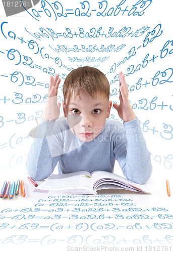 Image of The schoolboy with the book