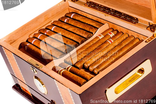 Image of Cigars in humidor