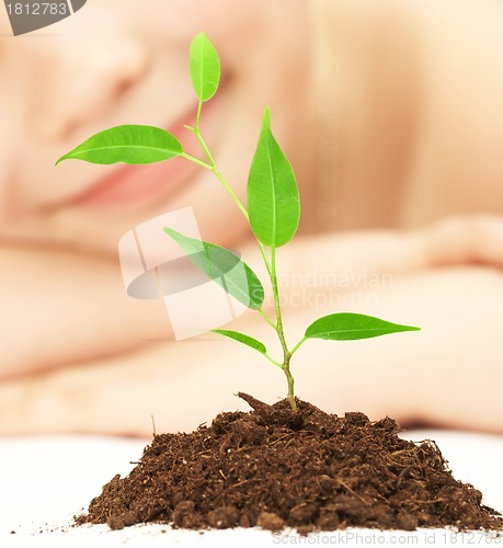 Image of boy looks at a young plant