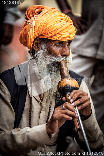 Image of snake charmer