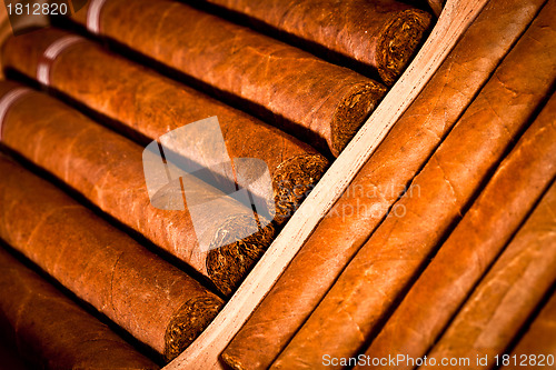 Image of Cigars in humidor