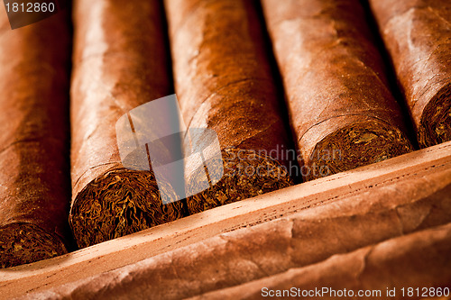 Image of Cigars in humidor