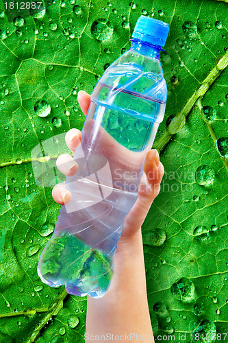 Image of bottle water