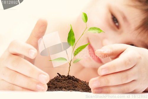 Image of The boy observes cultivation of a young plant.