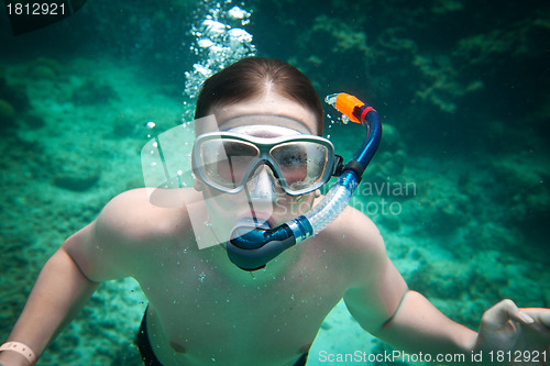 Image of Snorkeler