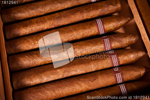 Image of Cigars in humidor