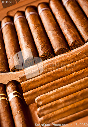 Image of Cigars in humidor