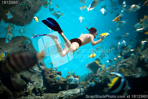 Image of Snorkeler