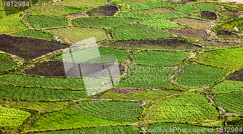 Image of Farmland