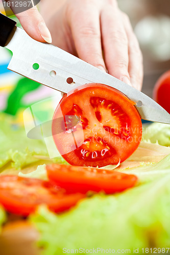 Image of Woman's hands cutting vegetables