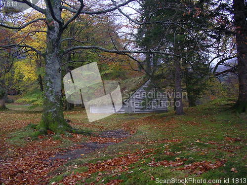 Image of Old House in the Forest