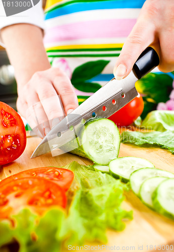 Image of Woman's hands cutting vegetables