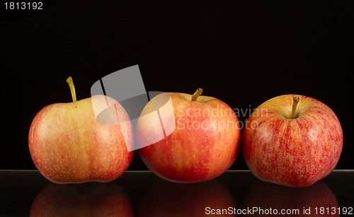 Image of Apples