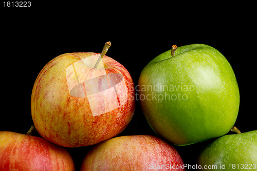 Image of Apples