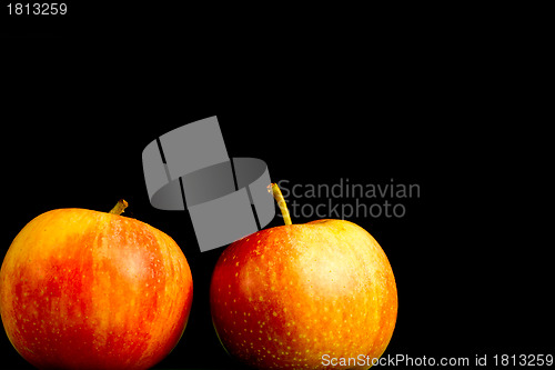 Image of Apples
