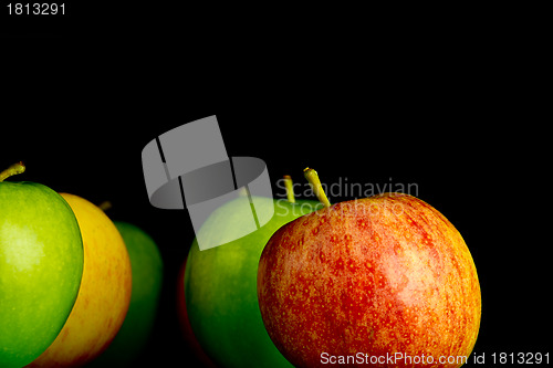 Image of Apples