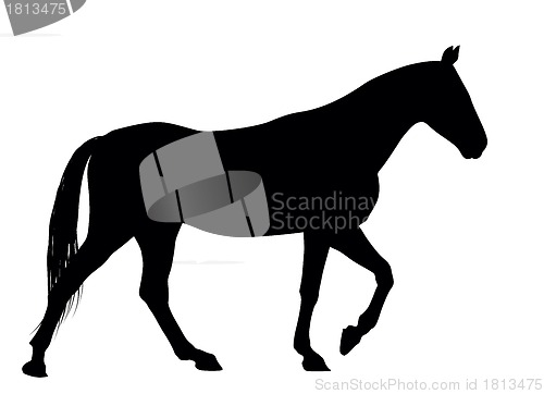 Image of Vector horse
