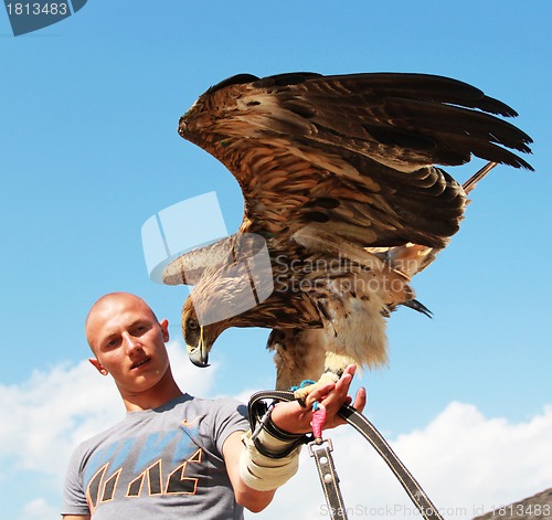 Image of Man with eagle