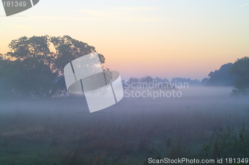 Image of Mist