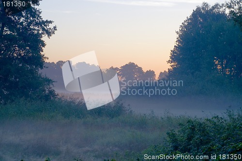 Image of Foggy morning