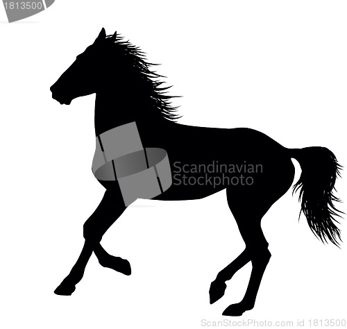 Image of Vector horses