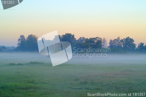 Image of Foggy morning