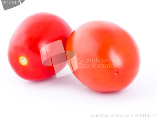 Image of Tomatoes isolated