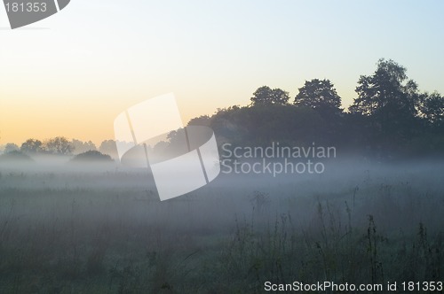 Image of Foggy morning