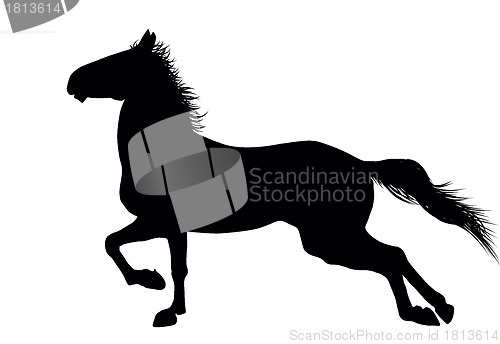 Image of Vector horse