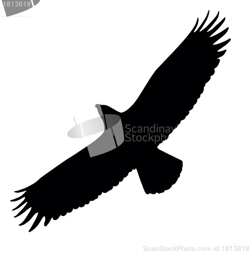 Image of Eagle silhouette