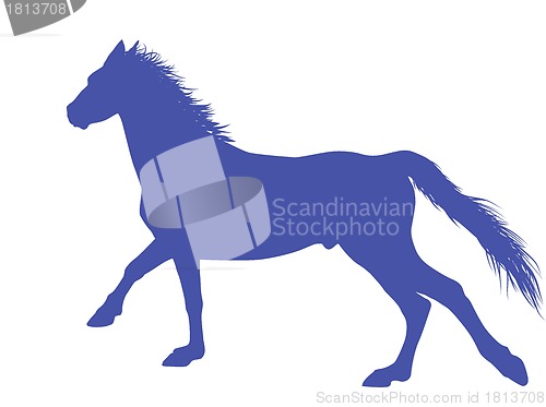 Image of Vector horse