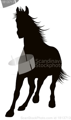 Image of Vector horse