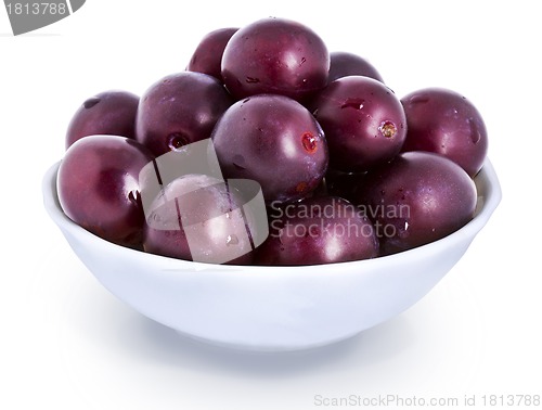 Image of Plums isolated