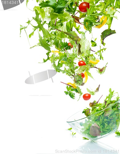 Image of Flying salad
