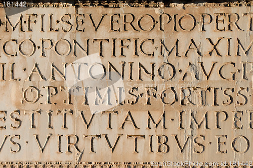 Image of latin