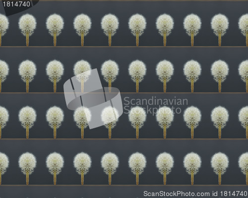 Image of vintage shabby background with classy patterns