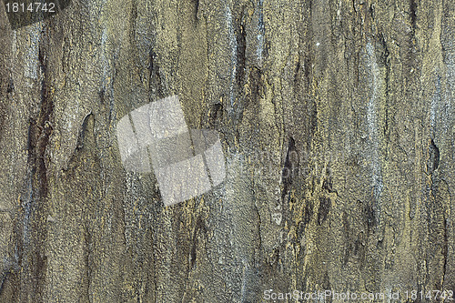 Image of Background from high detailed fragment stone wall