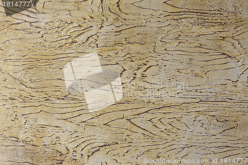Image of old, grunge wood panels used as background