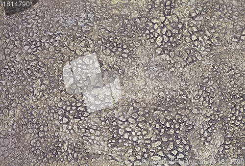 Image of Background from high detailed fragment stone wall