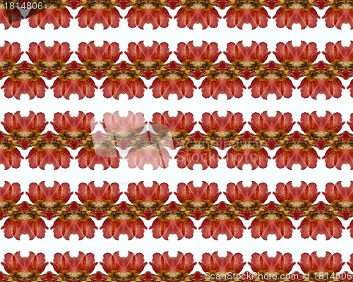 Image of vintage shabby background with classy patterns