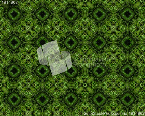 Image of Christmas tree background