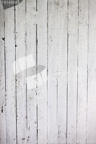 Image of Weathered white wood