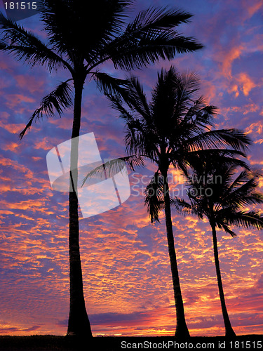 Image of Beach at sunset