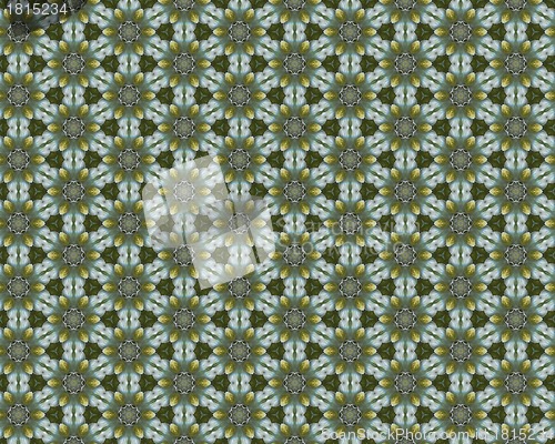 Image of vintage shabby background with classy patterns