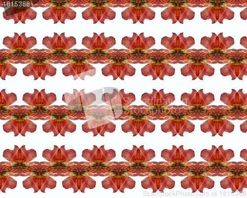 Image of vintage shabby background with classy patterns