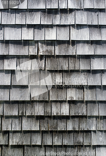 Image of Wooden wall texture