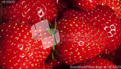 Image of Background of luscious ripe red strawberries